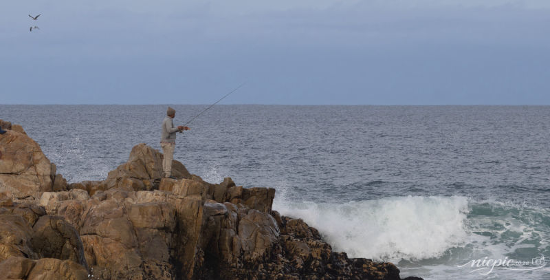 Fishing from the rocks