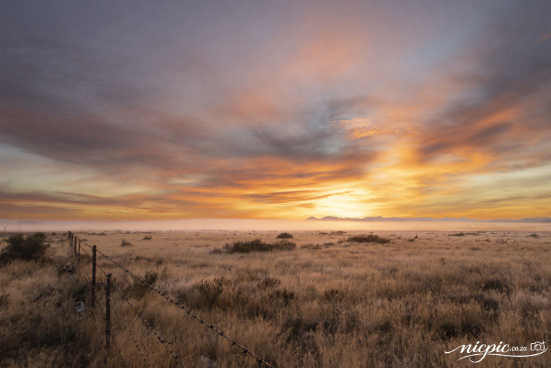 Sunrise